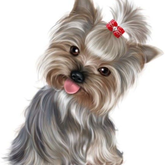 yorkiemumm